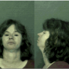 Dothan Police Department Press Release, Domestic Violence